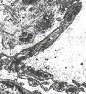 debbage-figure07