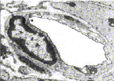 debbage-figure11