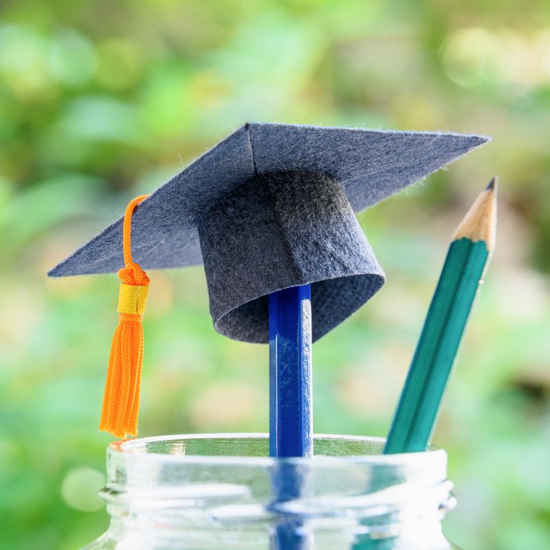 PhD Programme