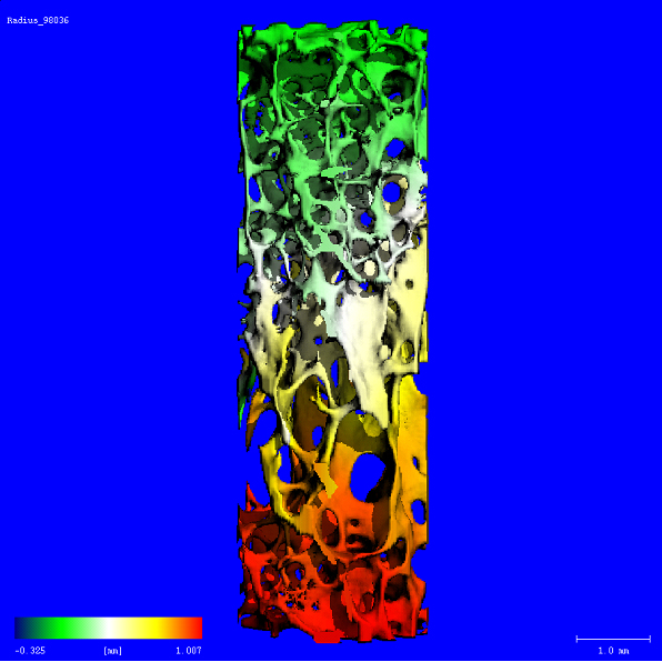 MicroCT_05.jpg