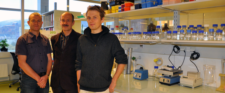 Neue Erkenntnisse zu biochemischen Prozessen bei der Brustkrebstherapie