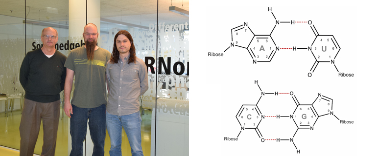 Neue Erkenntnisse zu grundlegendem Zellmechanismus