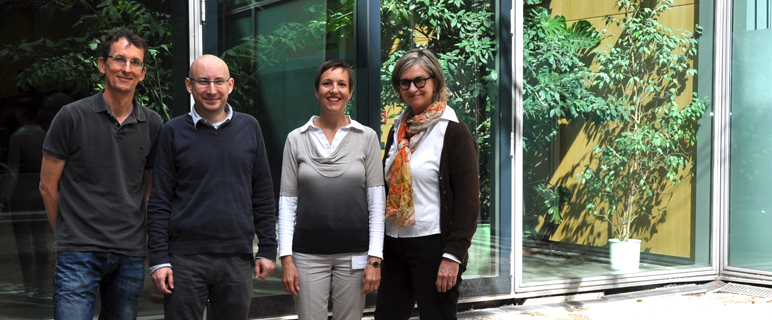 FWF fördert vier neue Projekte an der Medizinischen Universität Innsbruck