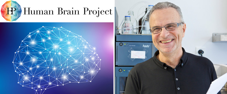 Human Brain Project startet in nächste Phase: Neue Ausbildung in Kooperation mit der Medizin Uni Innsbruck