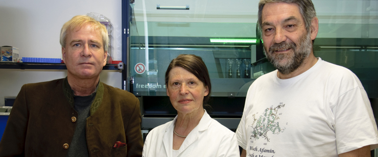 SAXCESS: Incoming International Fellowship (IIF) Projekt angelaufen