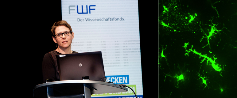 Trainingsnetzwerk IMMUTRAIN: Ausbildung von Immuntherapie-Spezialist:innen