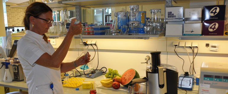 Innovative Forschungsarbeit: Biochemische Prozesse bei der Zubereitung von Lebensmitteln