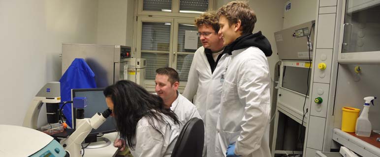 Mit Hilfe von Nanopartikeln Hörverlust therapieren