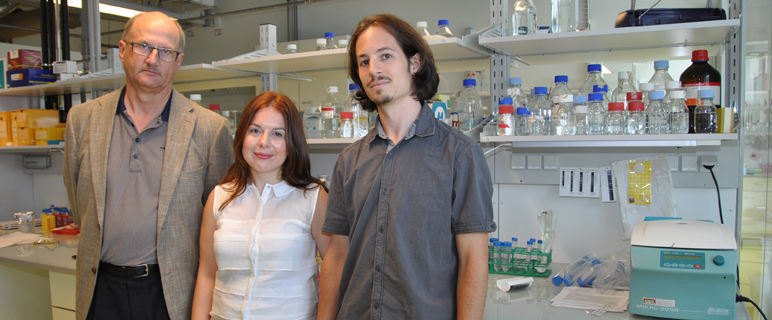 Weiterer Erfolg für die RNA-Forschung: Neue „Genschalter“ entdeckt