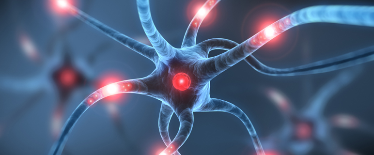 Brain Prize 2013: Optogenetik soll auch in Innsbruck angewendet werden