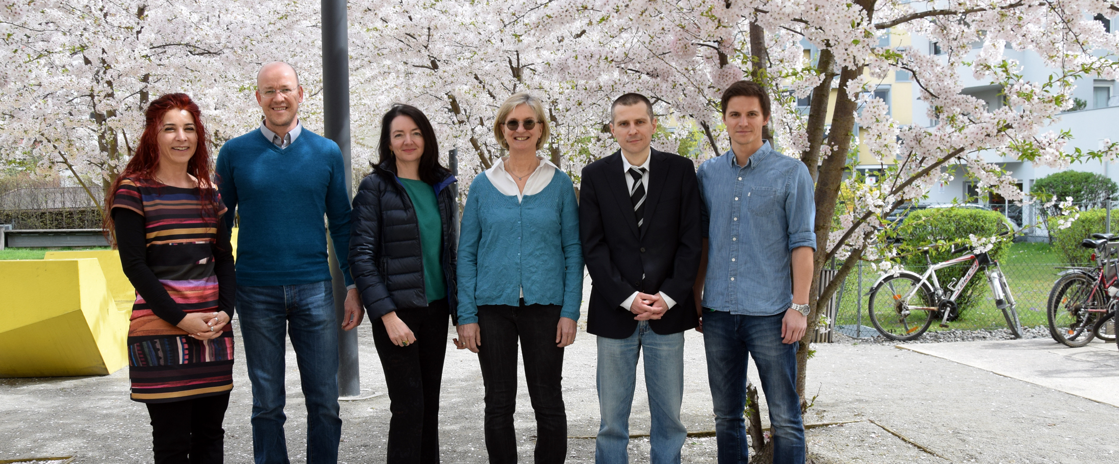 Der Wissenschaftsfonds fördert fünf neue Projekte an der Medizinischen Universität Innsbruck