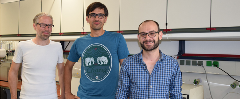 Neue Werkzeuge aus Innsbruck für die Analyse mitochondrialer Genome