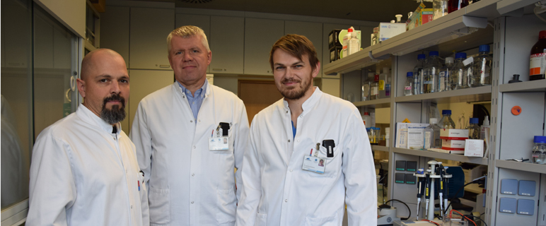 Innsbrucker Forschungsarbeit verbessert Therapie von seltener Gefäßerkrankung
