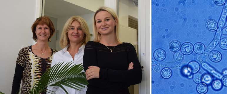 OPATHY: Neue OMICs-basierte Diagnose-Tools sollen Infektionsmanagement verbessern