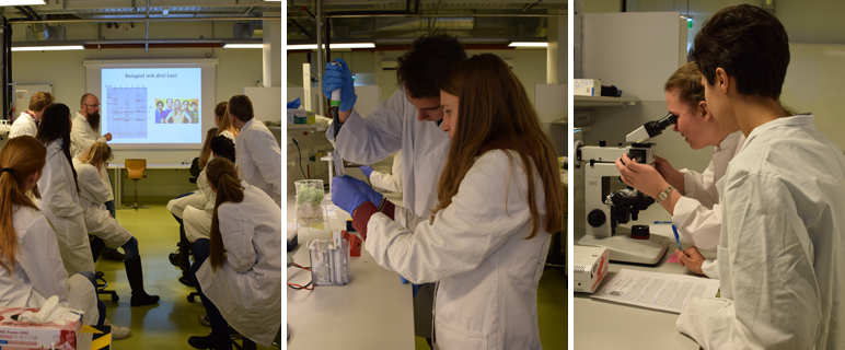 Open Labs Days: Schüler:innen lernten Molekulare Medizin kennen