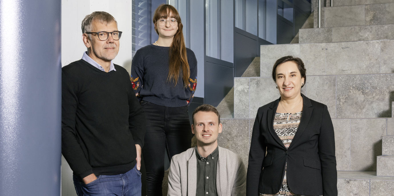 Protein SATB2 entscheidet über Intelligenz