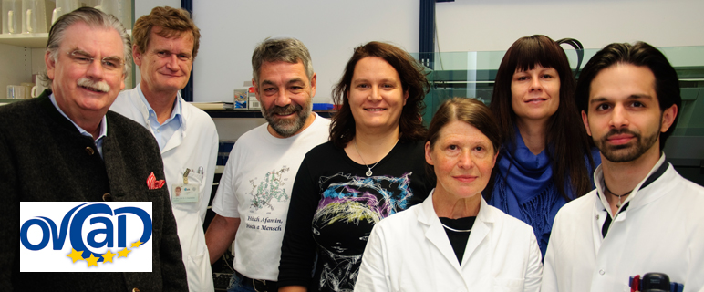 Vielversprechender Biomarker für seröses Ovarialkarzinom 