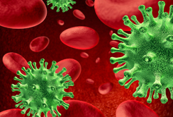 Welt-AIDS-Tag: Innsbrucker Virolog:innen entwickeln neues Anti-HIV-Peptid 