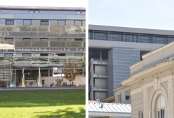 Kooperation mit dem Management Center Innsbruck 