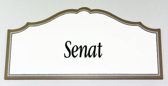 Senatswahl 2022