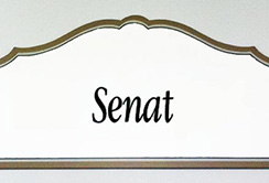 Senatswahl 2013