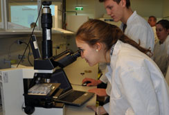 Open Labs Days: 170 Schüler:innen nahmen teil