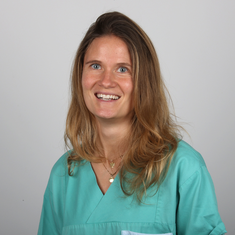 Ulrike Prechtl